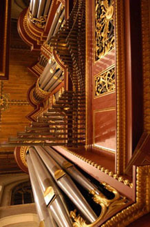 Organ image